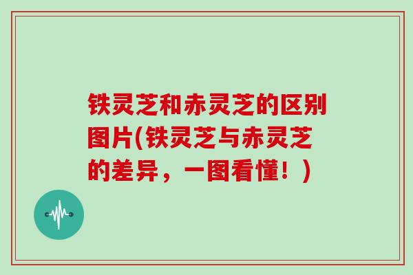 铁灵芝和赤灵芝的区别图片(铁灵芝与赤灵芝的差异，一图看懂！)
