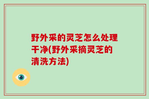 野外采的灵芝怎么处理干净(野外采摘灵芝的清洗方法)