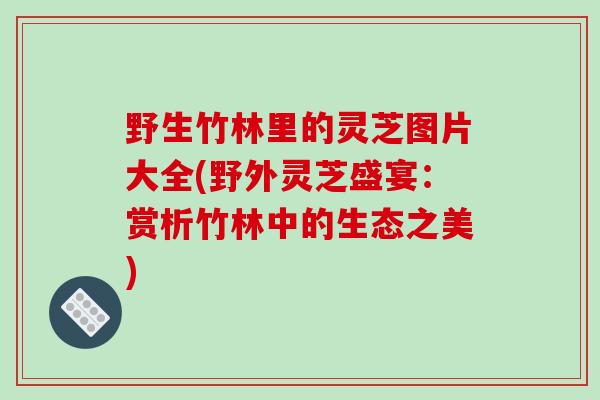 野生竹林里的灵芝图片大全(野外灵芝盛宴:赏析竹林中的生态之美)