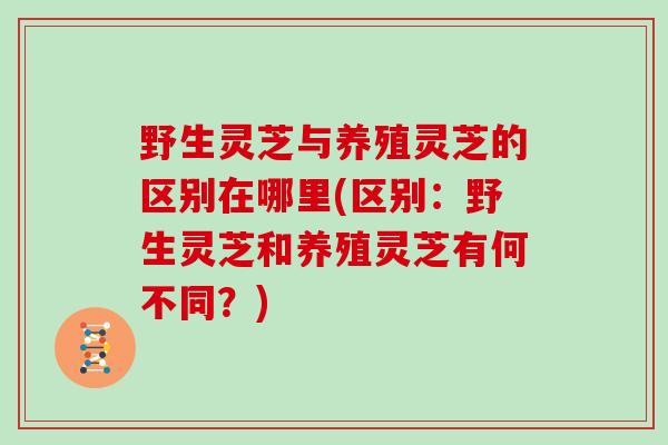 野生灵芝与养殖灵芝的区别在哪里(区别：野生灵芝和养殖灵芝有何不同？)