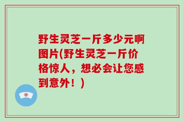 野生灵芝一斤多少元啊图片(野生灵芝一斤价格惊人,想必会让您感到意外!)