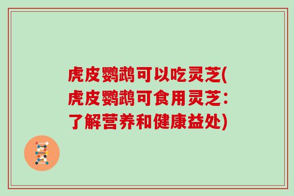 虎皮鹦鹉可以吃灵芝(虎皮鹦鹉可食用灵芝:了解营养和健康益处)