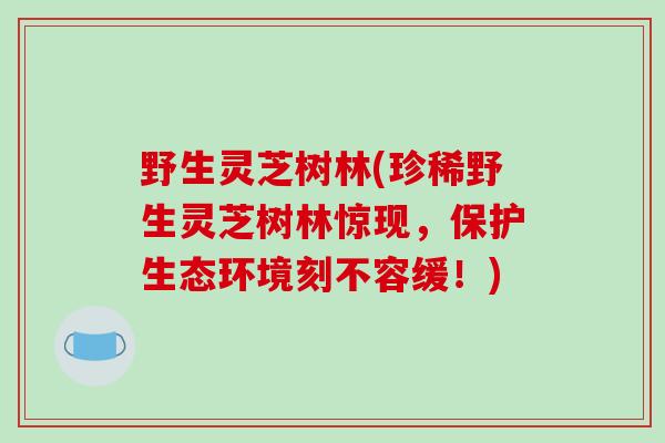 野生灵芝树林(珍稀野生灵芝树林惊现，保护生态环境刻不容缓！)