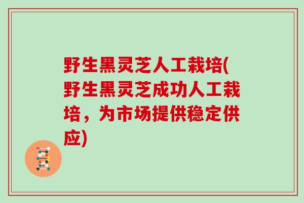 野生黑灵芝人工栽培(野生黑灵芝成功人工栽培,为市场提供稳定供应)