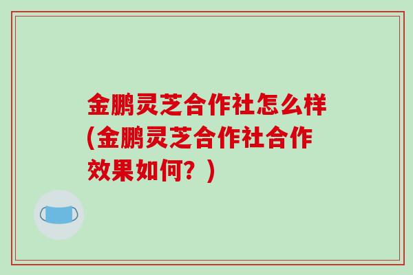 金鹏灵芝合作社怎么样(金鹏灵芝合作社合作效果如何？)