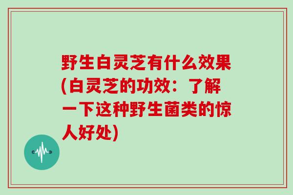 野生白灵芝有什么效果(白灵芝的功效:了解一下这种野生菌类的惊人好处)