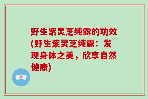 野生紫灵芝纯露的功效(野生紫灵芝纯露:发现身体之美,欣享自然健康)