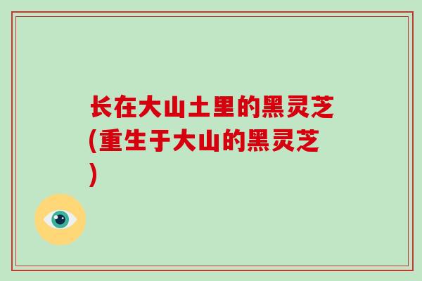 长在大山土里的黑灵芝(重生于大山的黑灵芝)