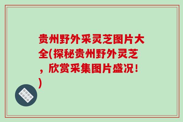 贵州野外采灵芝图片大全(探秘贵州野外灵芝,欣赏采集图片盛况!)