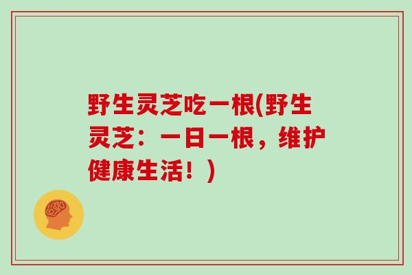 野生灵芝吃一根(野生灵芝:一日一根,维护健康生活!)