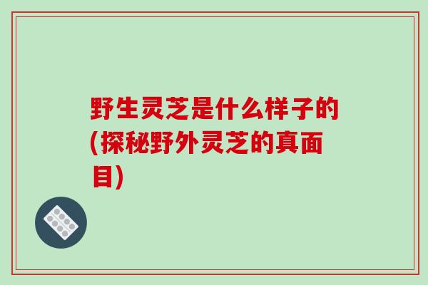 野生灵芝是什么样子的(探秘野外灵芝的真面目)