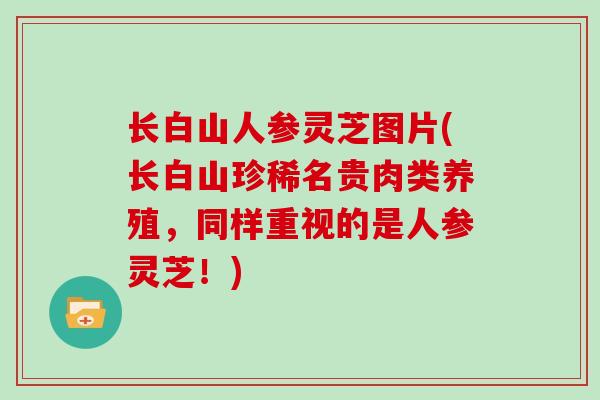 长白山人参灵芝图片(长白山珍稀名贵肉类养殖,同样重视的是人参灵芝!)