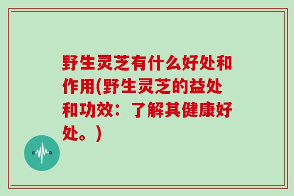 野生灵芝有什么好处和作用(野生灵芝的益处和功效:了解其健康好处。)