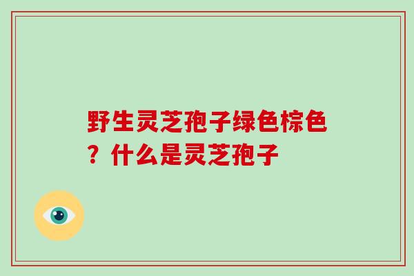 野生灵芝孢子绿色棕色?什么是灵芝孢子