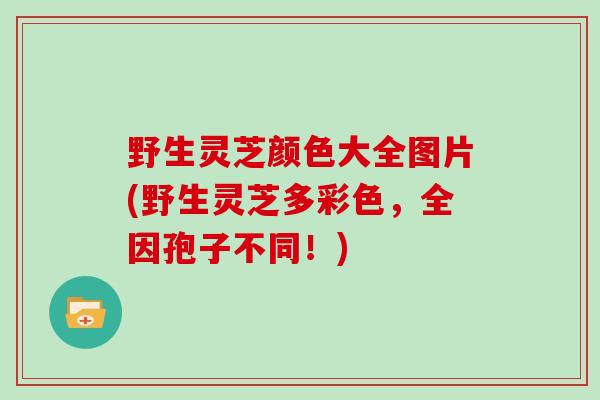 野生灵芝颜色大全图片(野生灵芝多彩色，全因孢子不同！)