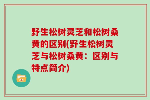 野生松树灵芝和松树桑黄的区别(野生松树灵芝与松树桑黄：区别与特点简介)