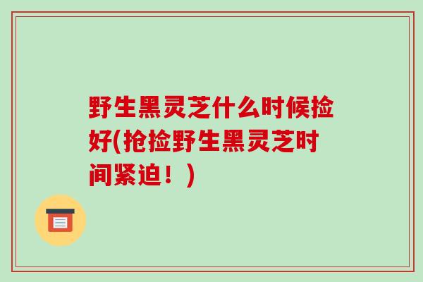 野生黑灵芝什么时候捡好(抢捡野生黑灵芝时间紧迫！)
