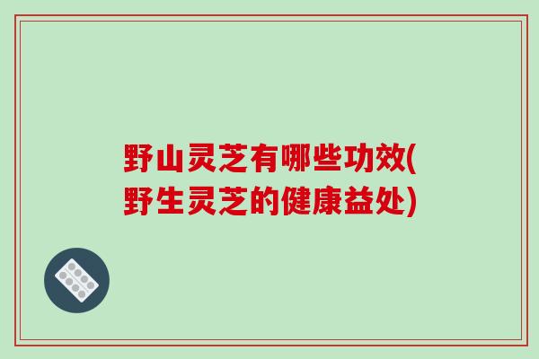 野山灵芝有哪些功效(野生灵芝的健康益处)