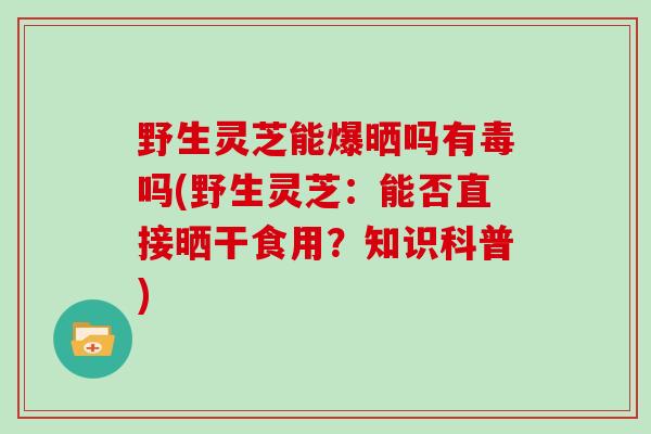 野生灵芝能爆晒吗有毒吗(野生灵芝:能否直接晒干食用?知识科普)