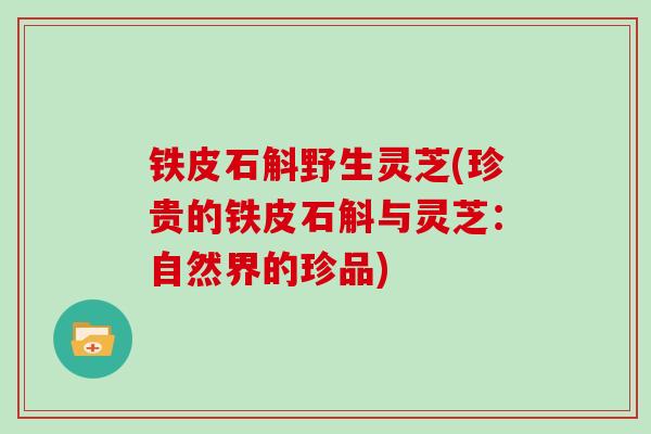 铁皮石斛野生灵芝(珍贵的铁皮石斛与灵芝:自然界的珍品)