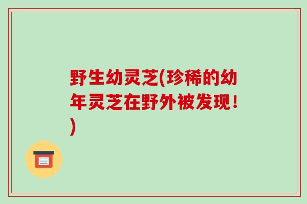 野生幼灵芝(珍稀的幼年灵芝在野外被发现！)