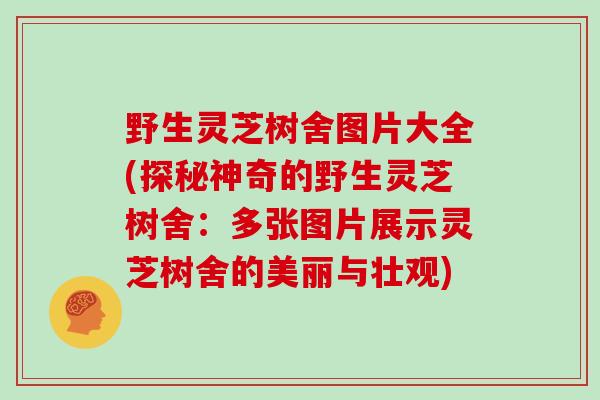 野生灵芝树舍图片大全(探秘神奇的野生灵芝树舍:多张图片展示灵芝树舍的美丽与壮观)