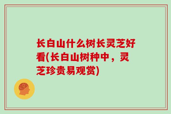 长白山什么树长灵芝好看(长白山树种中,灵芝珍贵易观赏)