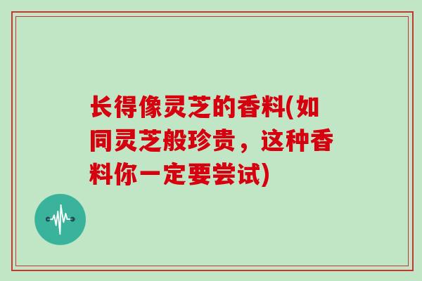长得像灵芝的香料(如同灵芝般珍贵,这种香料你一定要尝试)