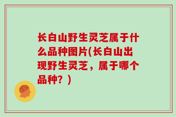 长白山野生灵芝属于什么品种图片(长白山出现野生灵芝，属于哪个品种？)