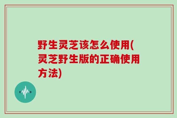 野生灵芝该怎么使用(灵芝野生版的正确使用方法)