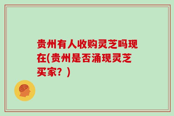贵州有人收购灵芝吗现在(贵州是否涌现灵芝买家?)