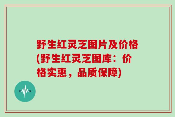 野生红灵芝图片及价格(野生红灵芝图库:价格实惠,品质保障)