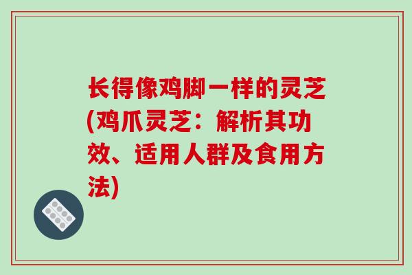 长得像鸡脚一样的灵芝(鸡爪灵芝：解析其功效、适用人群及食用方法)