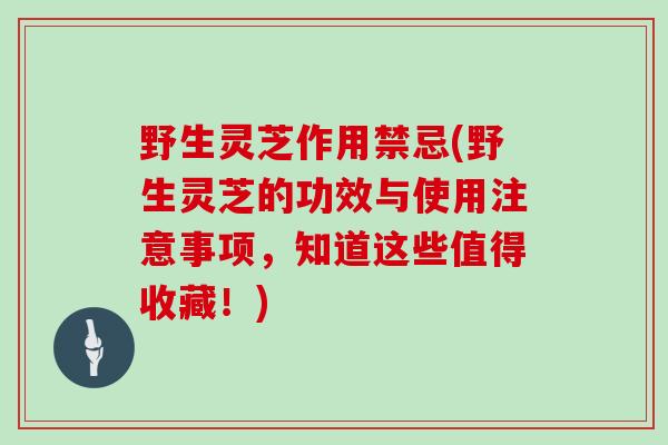 野生灵芝作用禁忌(野生灵芝的功效与使用注意事项,知道这些值得收藏!)