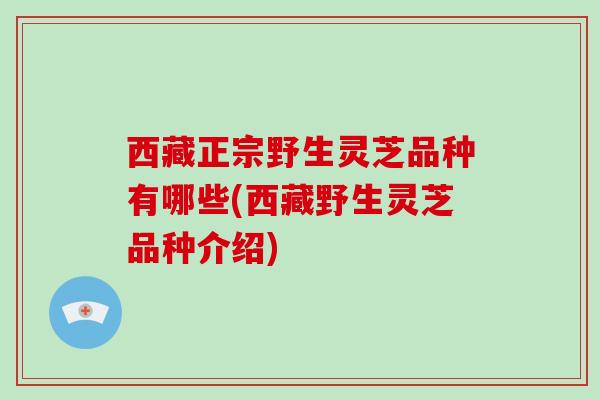 西藏正宗野生灵芝品种有哪些(西藏野生灵芝品种介绍)