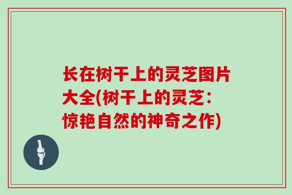 长在树干上的灵芝图片大全(树干上的灵芝：惊艳自然的神奇之作)