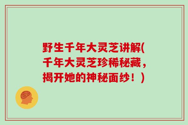 野生千年大灵芝讲解(千年大灵芝珍稀秘藏,揭开她的神秘面纱!)