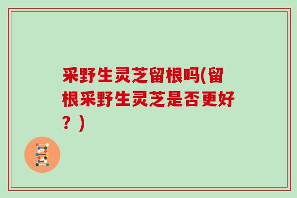 采野生灵芝留根吗(留根采野生灵芝是否更好?)