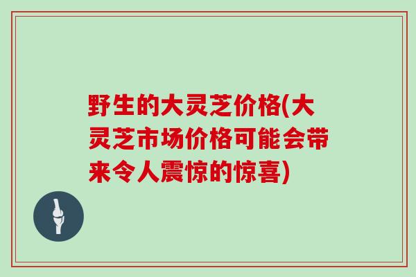 野生的大灵芝价格(大灵芝市场价格可能会带来令人震惊的惊喜)