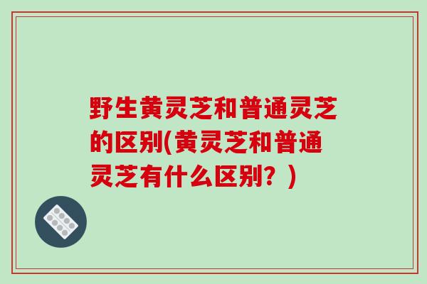野生黄灵芝和普通灵芝的区别(黄灵芝和普通灵芝有什么区别?)