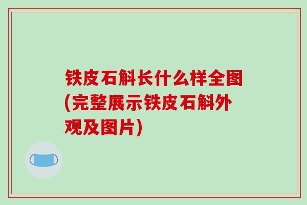 铁皮石斛长什么样全图(完整展示铁皮石斛外观及图片)
