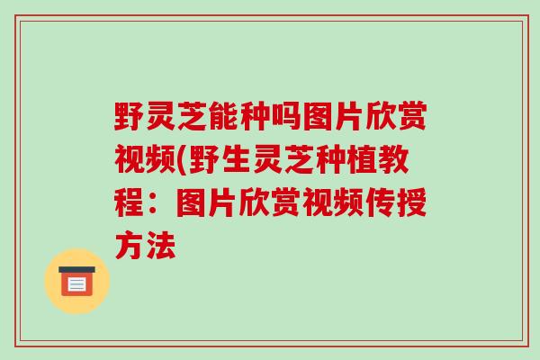 野灵芝能种吗图片欣赏视频(野生灵芝种植教程:图片欣赏视频传授方法