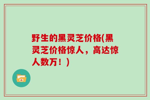 野生的黑灵芝价格(黑灵芝价格惊人,高达惊人数万!)