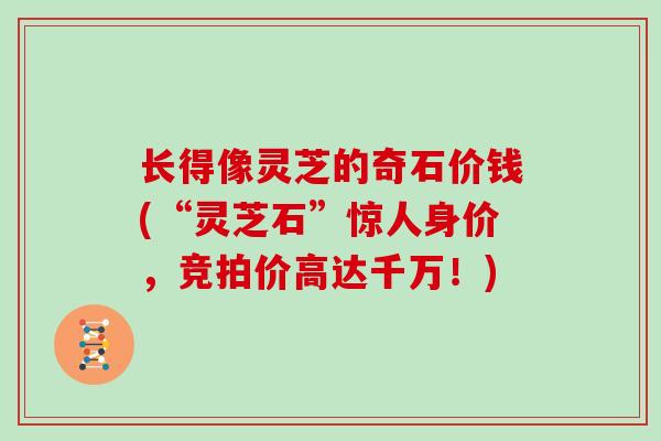 长得像灵芝的奇石价钱(“灵芝石”惊人身价，竞拍价高达千万！)