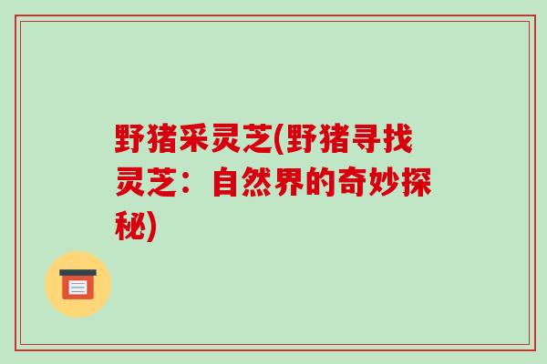 野猪采灵芝(野猪寻找灵芝:自然界的奇妙探秘)