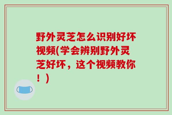 野外灵芝怎么识别好坏视频(学会辨别野外灵芝好坏,这个视频教你!)