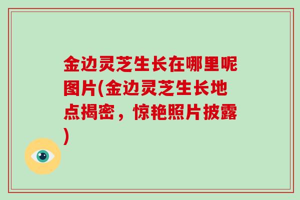 金边灵芝生长在哪里呢图片(金边灵芝生长地点揭密,惊艳照片披露)