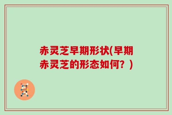 赤灵芝早期形状(早期赤灵芝的形态如何?)
