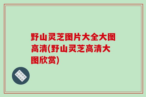 野山灵芝图片大全大图高清(野山灵芝高清大图欣赏)