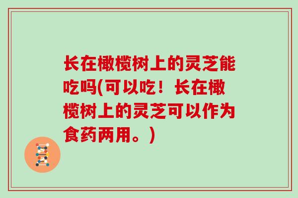 长在橄榄树上的灵芝能吃吗(可以吃!长在橄榄树上的灵芝可以作为食药两用。)